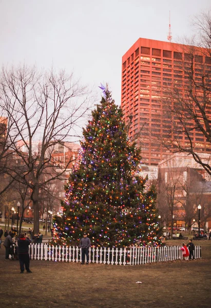 Weihnachtsbaum Mit Schnee Und Bäumen — Stockfoto