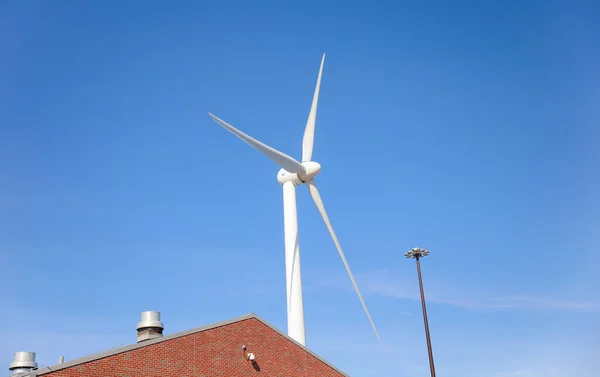 Turbina Eólica Pie Frente Cielo Azul Claro Que Simboliza Sostenibilidad —  Fotos de Stock