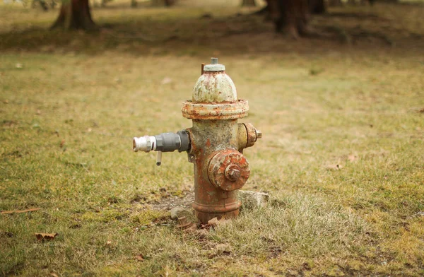 A fire hydrant is a vital tool for firefighters to access water and extinguish fires. As a symbol, it represents safety, emergency preparedness, and the importance of community support in times of crisis.