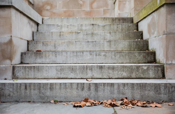 Lépcső Szimbolizálja Utat Sikerhez Minden Lépés Előrelépést Jelent Egy Cél — Stock Fotó