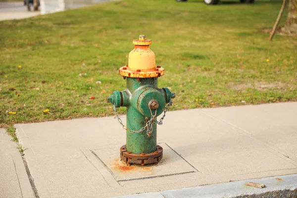Feuerhydrant Einer Straßenecke Symbolisiert Die Entscheidende Rolle Die Bei Der — Stockfoto