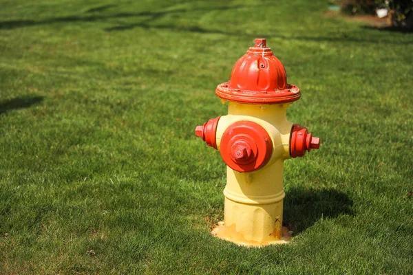Feuerhydrant Einer Straßenecke Symbolisiert Die Entscheidende Rolle Die Bei Der — Stockfoto