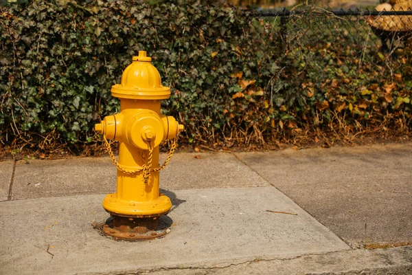 街角的消防栓 象征着消防栓在确保公共安全及防止火警的破坏性影响方面所扮演的重要角色 — 图库照片