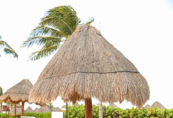 帕拉帕的太阳屋顶海滩伞的海滩象征着放松 和保护 它代表了一种热带的 海滩般的氛围 代表了从烈日的余晖中逃离的渴望 — 图库照片