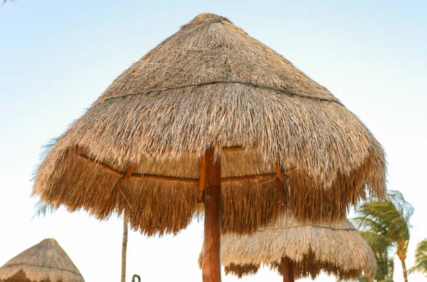 Palapa Sombrilla Playa Junto Playa Simboliza Relajación Sombra Protección Representa —  Fotos de Stock