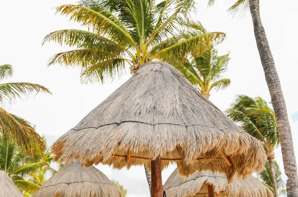 ビーチでパラパサンルーフビーチの傘は リラクゼーション 保護を象徴しています それは熱帯のビーチの雰囲気と太陽の過酷な光線から逃れようという願望を表しています — ストック写真