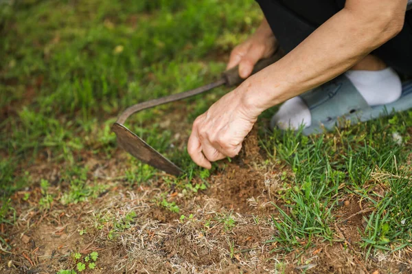 铲子和铲子等园艺工具对庭院作业 拔草和花园维修至关重要 努力工作 创造力和环境管理的象征 — 图库照片