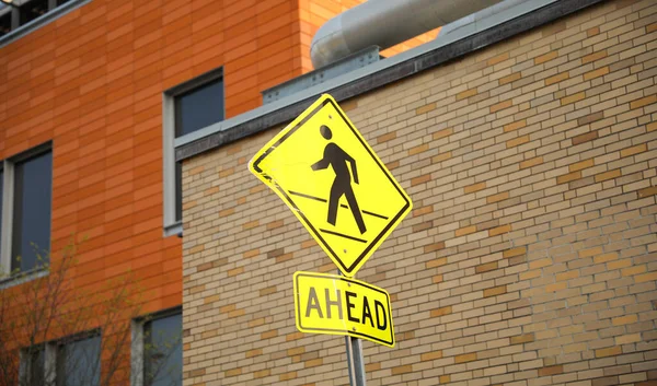 Navigating life\'s journey with the pedestrian sign. A symbol of safety, shared spaces, and the importance of pedestrian rights and awareness