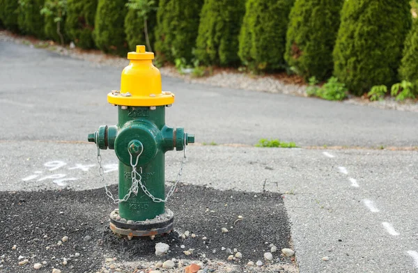 Hydrant Przeciwpożarowy Reprezentuje Ochronę Kluczową Rolę Strażaków Ochronie Naszych Społeczności — Zdjęcie stockowe