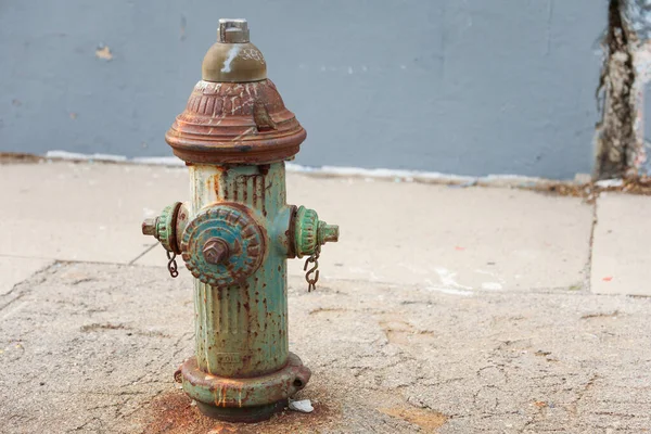 Der Brandhydrant Repräsentiert Den Schutz Und Die Lebenswichtige Rolle Der — Stockfoto