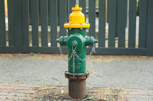 Der Brandhydrant Repräsentiert Den Schutz Und Die Lebenswichtige Rolle Der — Stockfoto
