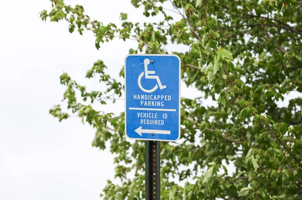 Blaues Handicap Schild Ein Symbol Für Zugänglichkeit Inklusion Gleichberechtigung Und — Stockfoto