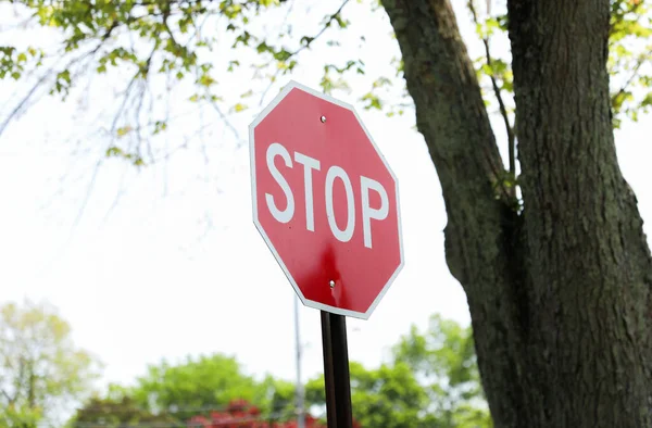 红色停车标志意味着谨慎 以及为防止事故或危险而暂停或停止的必要性 — 图库照片