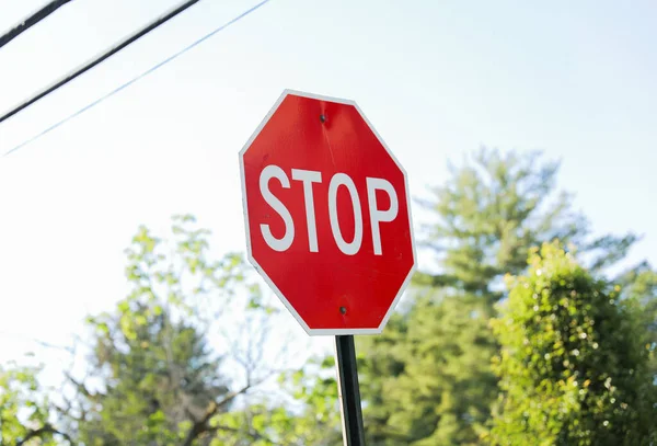 Красный Знак Стоп Обозначает Осторожность Безопасность Контроль Обязательность Приостановки Остановки — стоковое фото