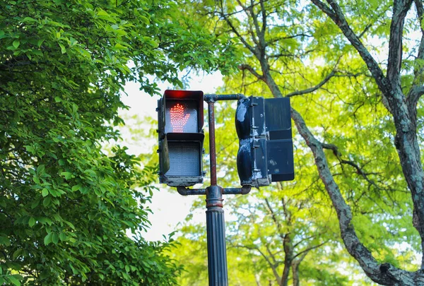 Traffic Light Pedestrian Walking Light Symbolizes Road Safety Traffic Control — Stock Photo, Image