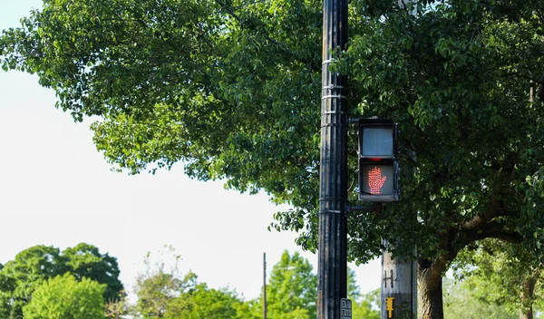 Светофор Пешеходным Светом Символизирует Безопасность Дорожного Движения Дорожный Контроль Упорядоченное — стоковое фото