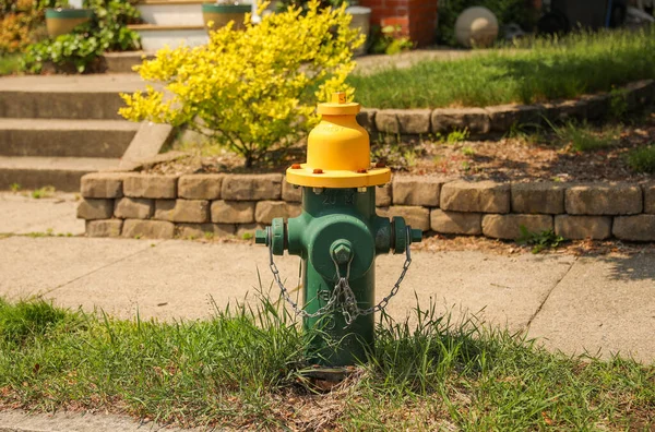 Hydranty Przeciwpożarowe Symbolizują Bezpieczeństwo Reagowanie Kryzysowe Gaszenie Pożarów Stanowią One — Zdjęcie stockowe