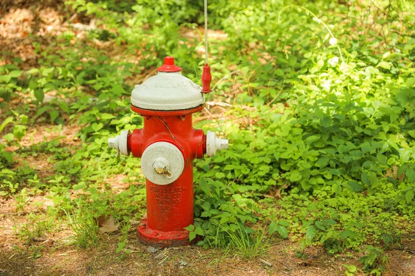 Hidrantes Fogo Simbolizam Segurança Resposta Emergência Combate Incêndios Representam Preparação — Fotografia de Stock