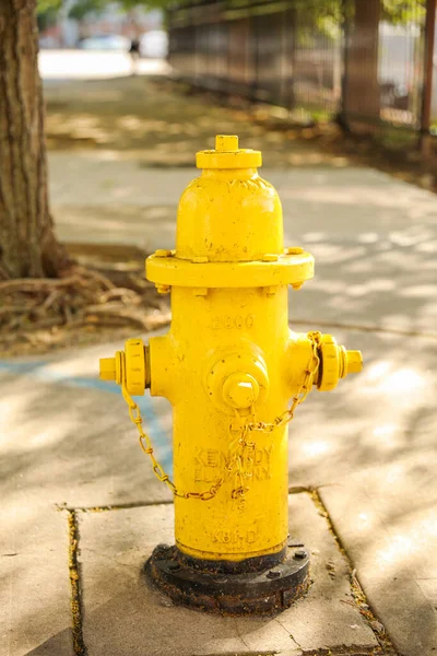 Velho Amarelo Formiga Hidratante Rua — Fotografia de Stock