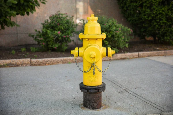 Желтый Гидрант Гидрантом Улице — стоковое фото