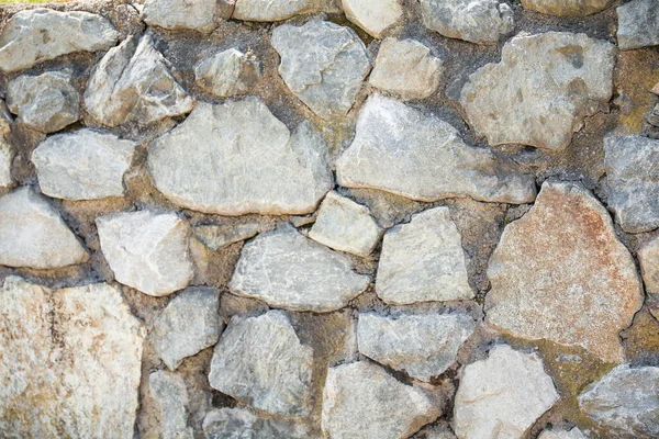 纹理石 耐久性 自然美和与地球的联系的象征 — 图库照片