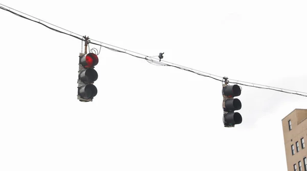 Semáforos Simbolizam Controle Tráfego Segurança Rodoviária Movimento Ordenado Regulação Veículos — Fotografia de Stock