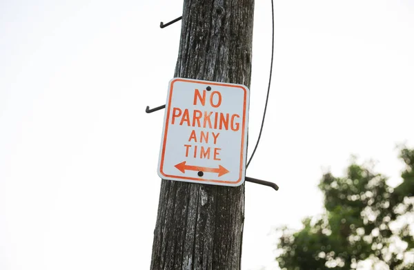 禁止停车标志 车尾有树 — 图库照片