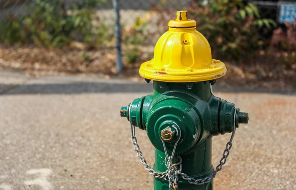 Пожежний Гідрант Парку — стокове фото
