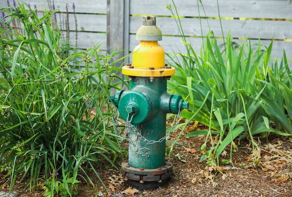 Alter Wasserhydrant Mit Grünem Gras — Stockfoto