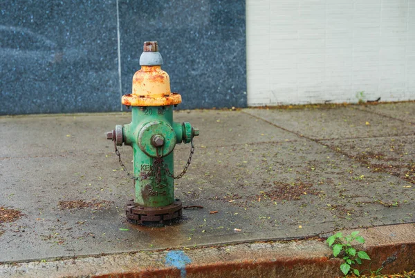 Der Feuerwehrhydrant Steht Hoch Auf Der Belebten Stadtstraße Und Steht — Stockfoto