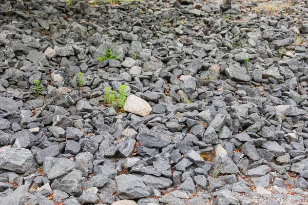 Piedras Rocas Que Simbolizan Fuerza Estabilidad Naturaleza Duradera Los Desafíos — Foto de Stock