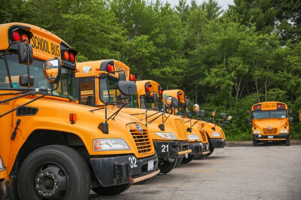 stock image yellow buses on school bus parking 