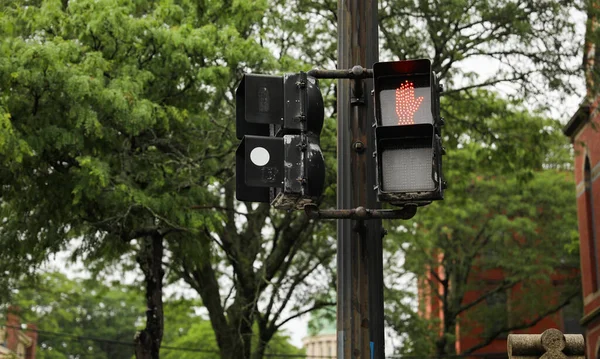 Street Light Traffic Signals Displaying Colors Red Green Yellow Walking — Stock Photo, Image