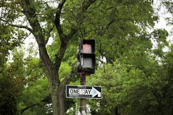 Уличный Свет Светофорами Отображающими Цвета Красный Зеленый Желтый Пешеходный Знак — стоковое фото