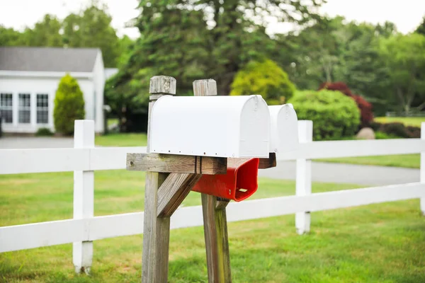 Mailbox Stands Tall Backdrop Greenery Symbolizing Communication Connection Exchange Thoughts — Stock Photo, Image