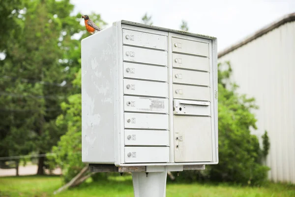 Mailbox Staat Hoog Tegen Een Achtergrond Van Groen Symboliseert Communicatie — Stockfoto