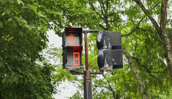Red Light Street — Stock Photo, Image