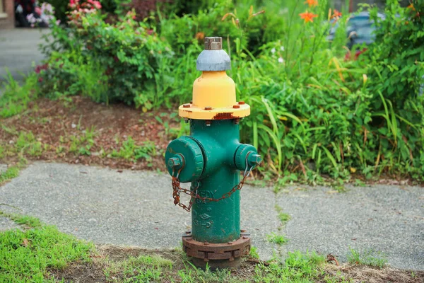 Hydrant Een Park — Stockfoto