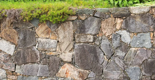 Ściana Kamienia Zielonej Trawy — Zdjęcie stockowe