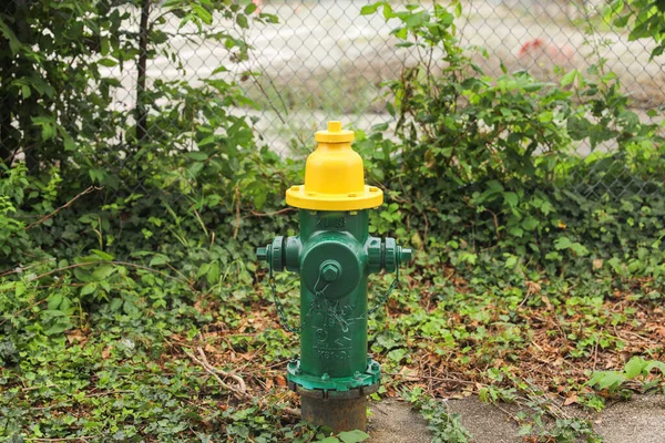 Alter Hydrant Mit Grünem Gras Und Gelbem Hydranten Auf Hintergrund — Stockfoto