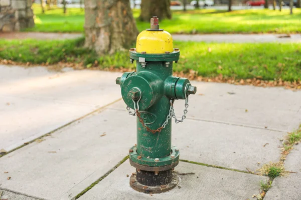 Wasserhydrant Park — Stockfoto