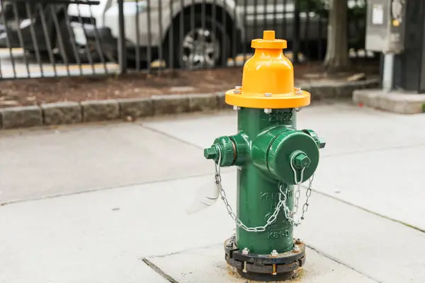 Gelber Ameisenhydrant Auf Der Straße — Stockfoto