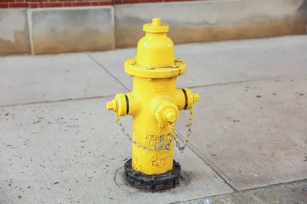 Жовтий Пожежний Гідрант Тротуарі Нью Йорк — стокове фото