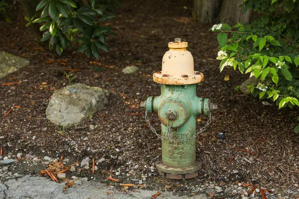 Alter Rostiger Hydrant Auf Der Straße — Stockfoto