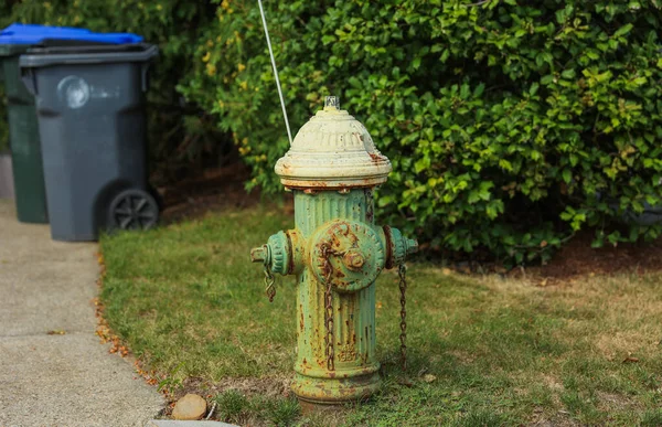 Hydrant Przeciwpożarowy Ulicy — Zdjęcie stockowe