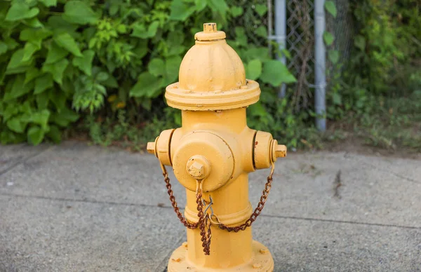 Gelber Ameisenhydrant Auf Der Straße — Stockfoto