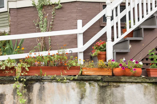 有花卉和植物的旧木制阳台 — 图库照片