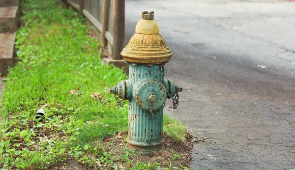 Hidrante Vintage Con Hierba Verde —  Fotos de Stock