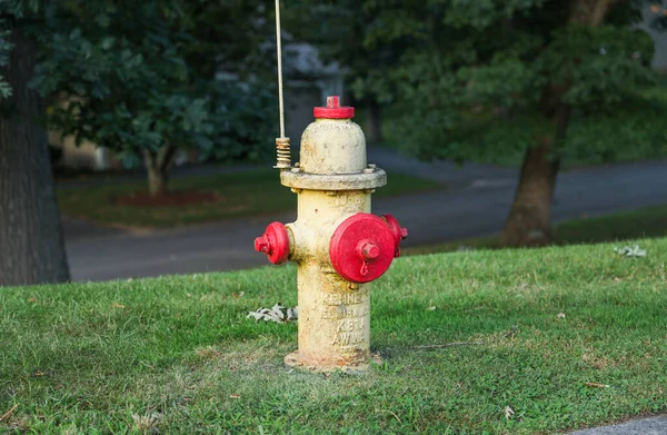 Hidrante Vermelho Parque — Fotografia de Stock