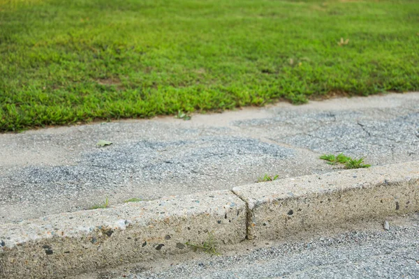 緑の草を使った歩道 — ストック写真